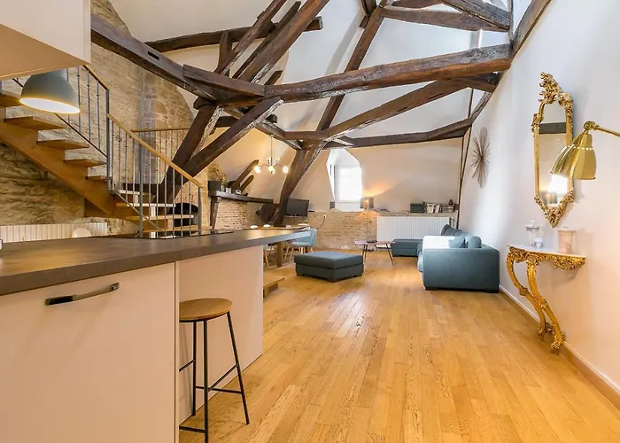 Le Mucie*****loft Au Centre De Дижон